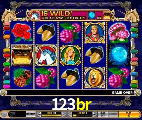 VIP Casino 123br